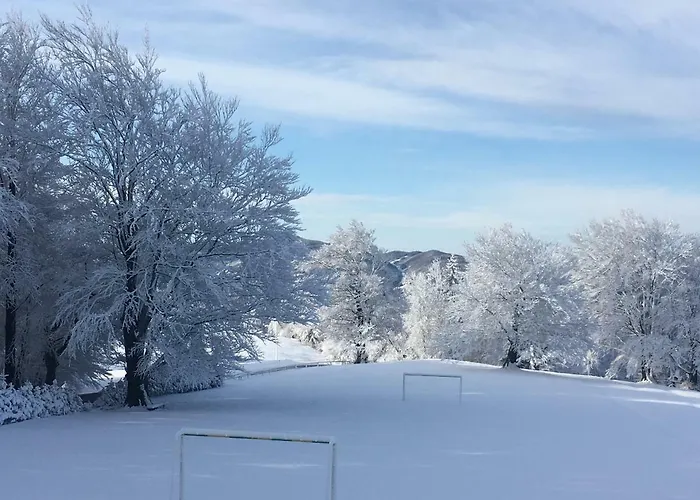 住宿加早餐酒店 Planinski Dom Na Kalu